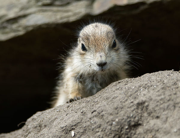 Erster Blick aus der unterirdischen Höhle.